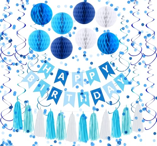 Blue Theme Birthday