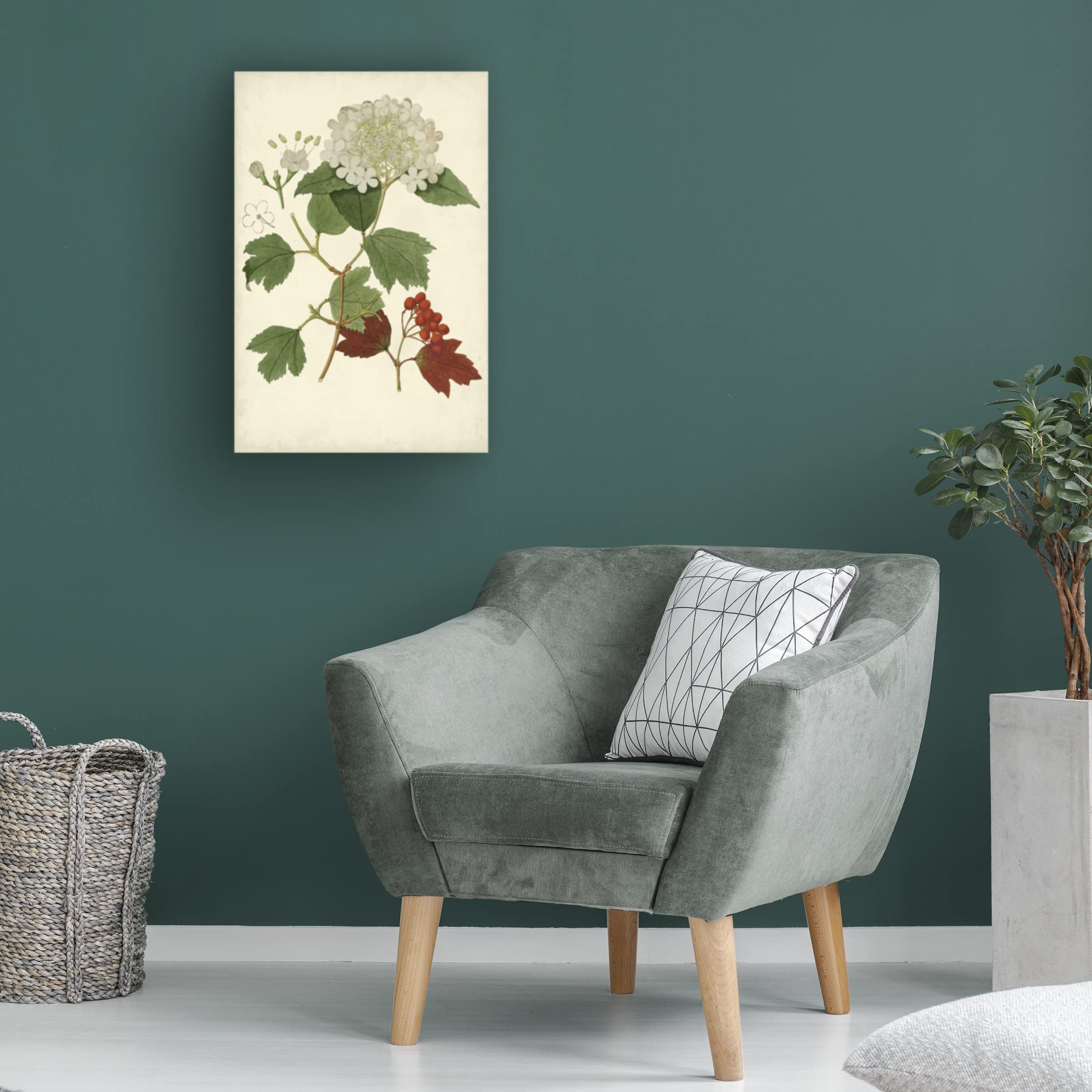 Trademark Fine Art 'Flowering Viburnum I' Canvas Wall Art Print - Botanical Floral Painting for Living Room, Bedroom & Office Decor