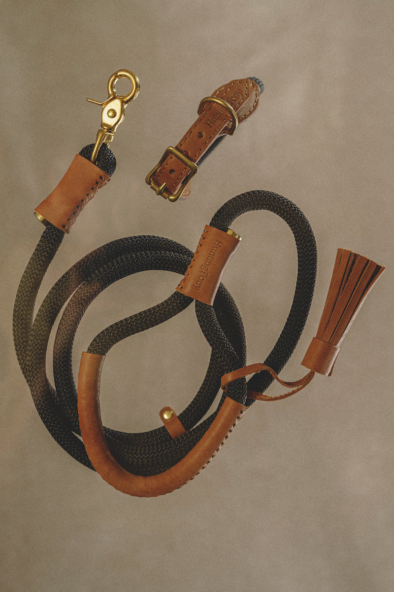 Premium Dog Leash for Small & Medium Dogs - Durable Nylon Pony Makarony Ginger Design - Perfect for Walking, Training & Outdoor Adventures