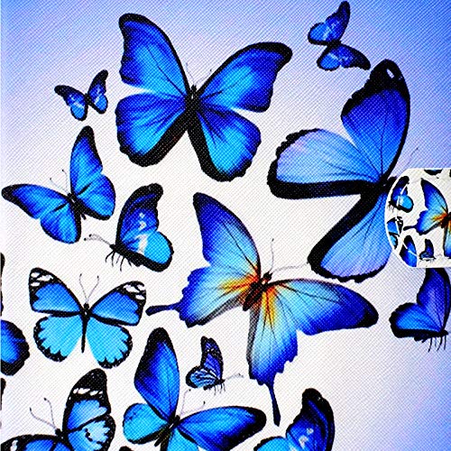 Blue Butterfly