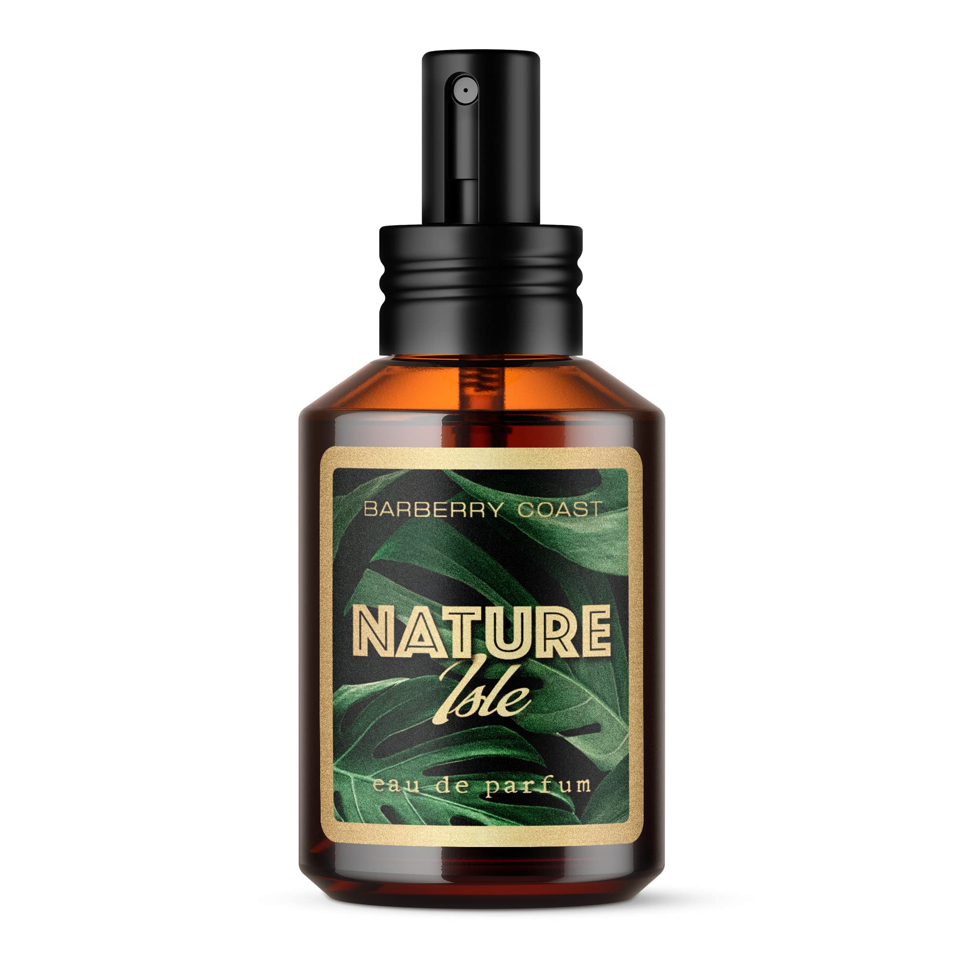 Barberry Coast Nature Isle Bay Rum Lime Eau de Parfum for Men - 60ml/2oz Fresh Citrus & Spicy Cologne - Perfect for Date Nights & Summer Adventures