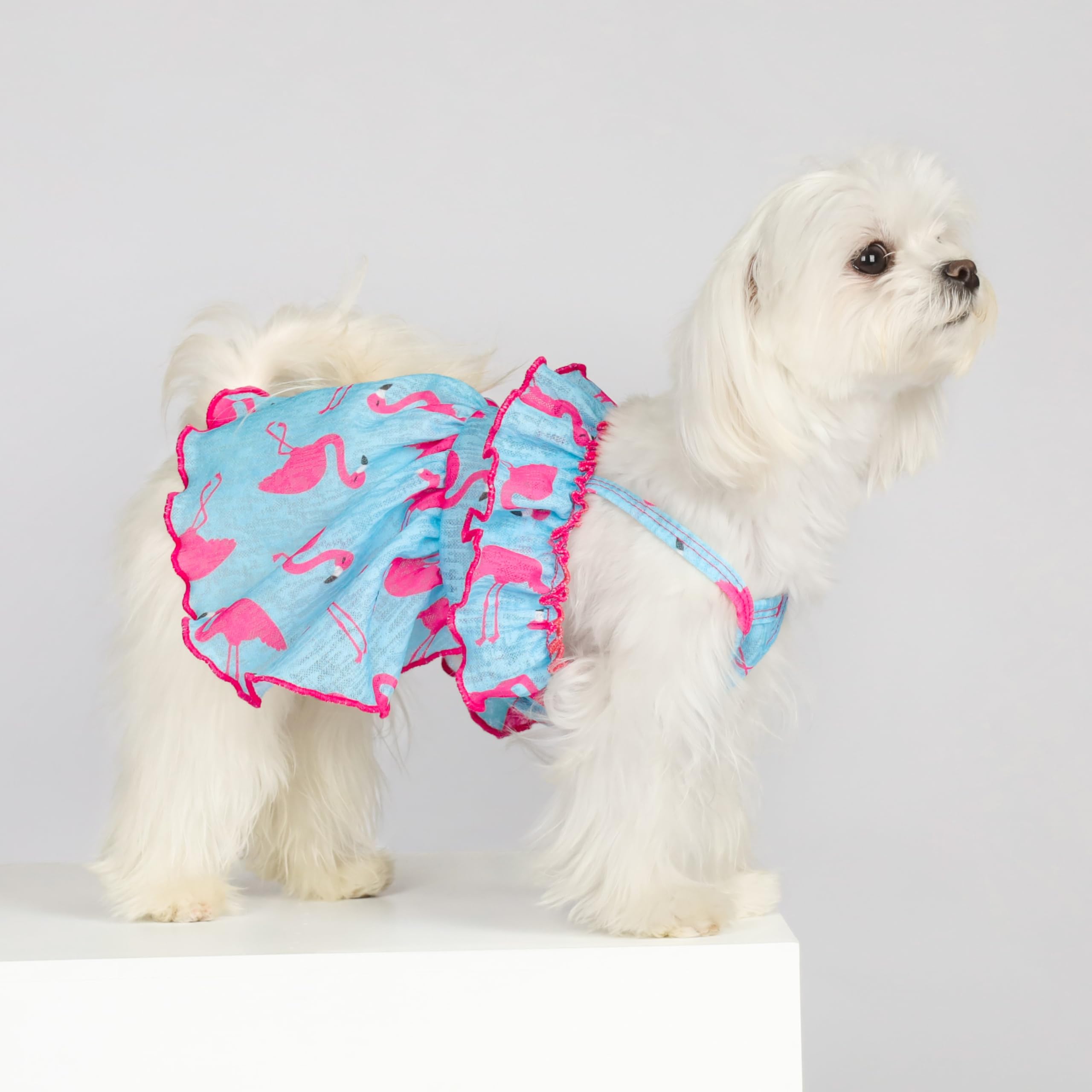 Fitwarm Flamingo Print Dog Dress - Summer Hawaiian Ruffled Sundress for Small Dogs | Cute Pet Outfit in Blue & Pink | Perfect for Beach, Parties & Outdoor Adventures