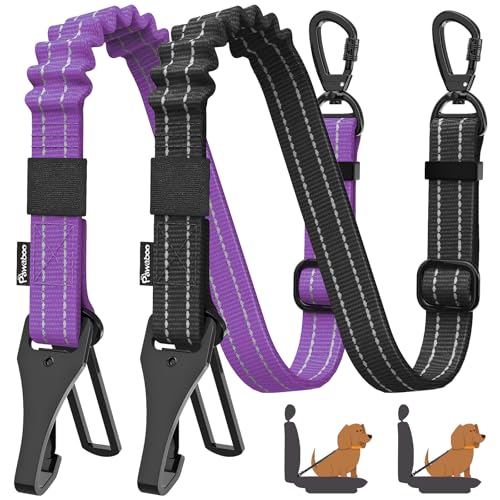 Black & Purple