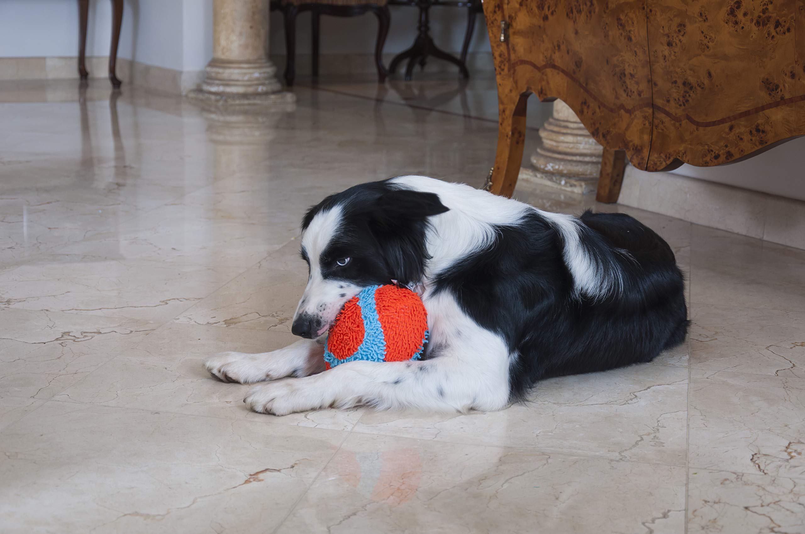 Chuckit! Indoor Fetch Ball and Fumbler Dog Toys - Durable Orange & Blue Interactive Pet Toys for Small & Medium Dogs - Perfect for Indoor Play, Training & Exercise
