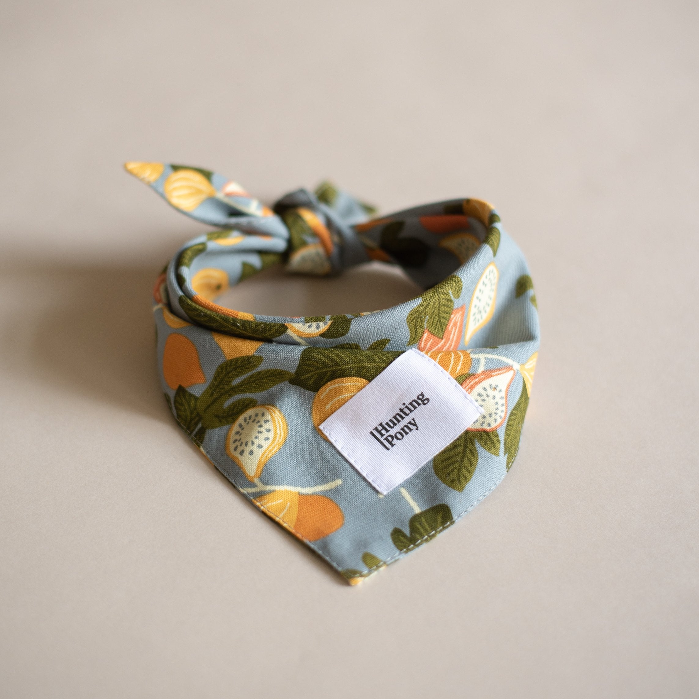 Stylish Pony Bandana for Dogs - Adjustable Pet Bandana for Small & Medium Dogs - Perfect for Parties, Photos & Everyday Wear