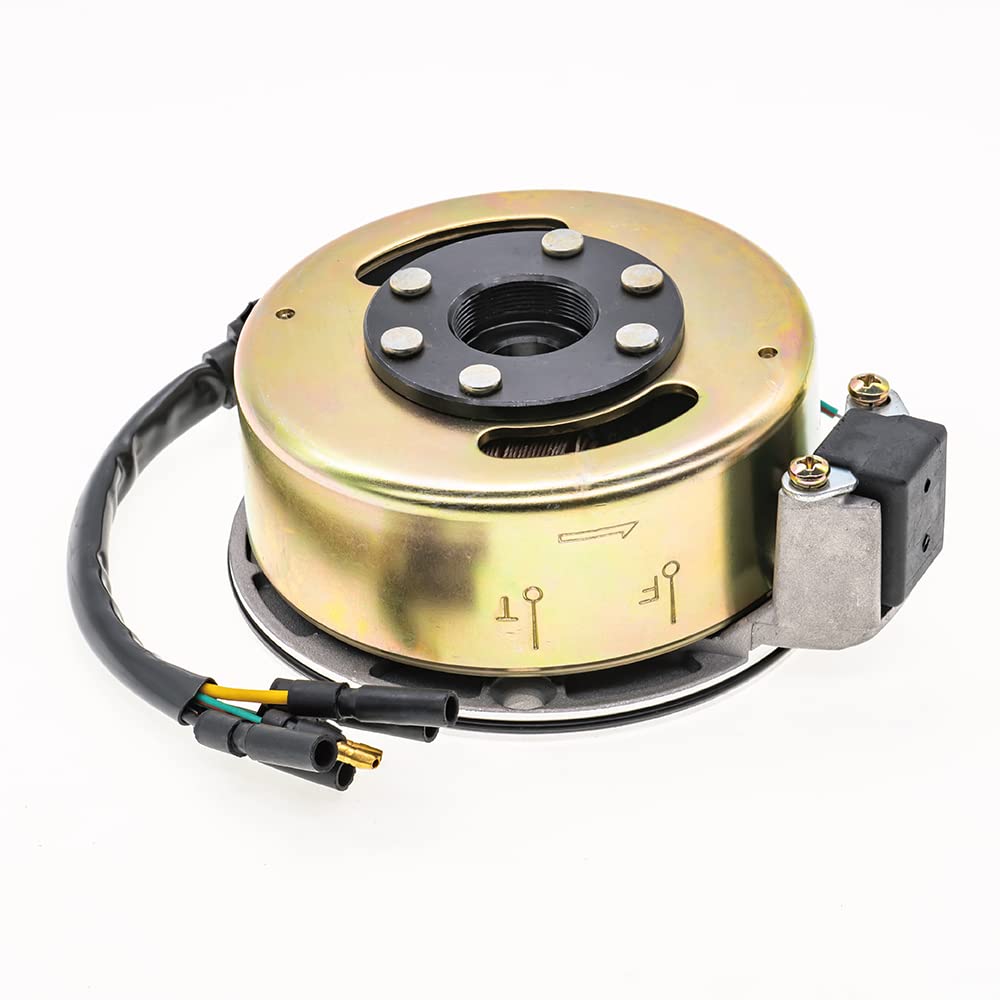 2 Coil Ignition Magneto Stator Flywheel Rotor Kit for 50cc-125cc ATV Quad Dirt Bikes - Compatible with Taotao, Kazuma, SSR, Baja 4 Wheelers - Perfect for Engine Repair & Off-Road Performance Upgrades