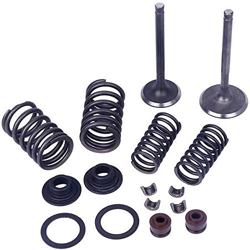 High-Quality Outside Distributing Valve Kit for Vertical Motors - Durable Replacement Part for Industrial & Agricultural Equipment