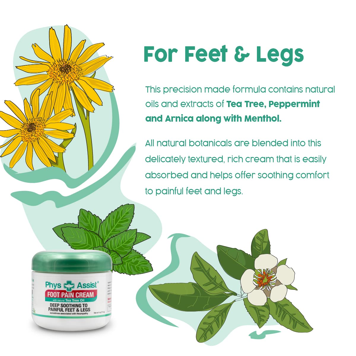 PhysAssist Soothing Foot & Leg Cream - 3 Pack (4 oz Each) for Dry, Cracked Feet Relief - Perfect for Post-Workout Recovery & Nighttime Foot Care