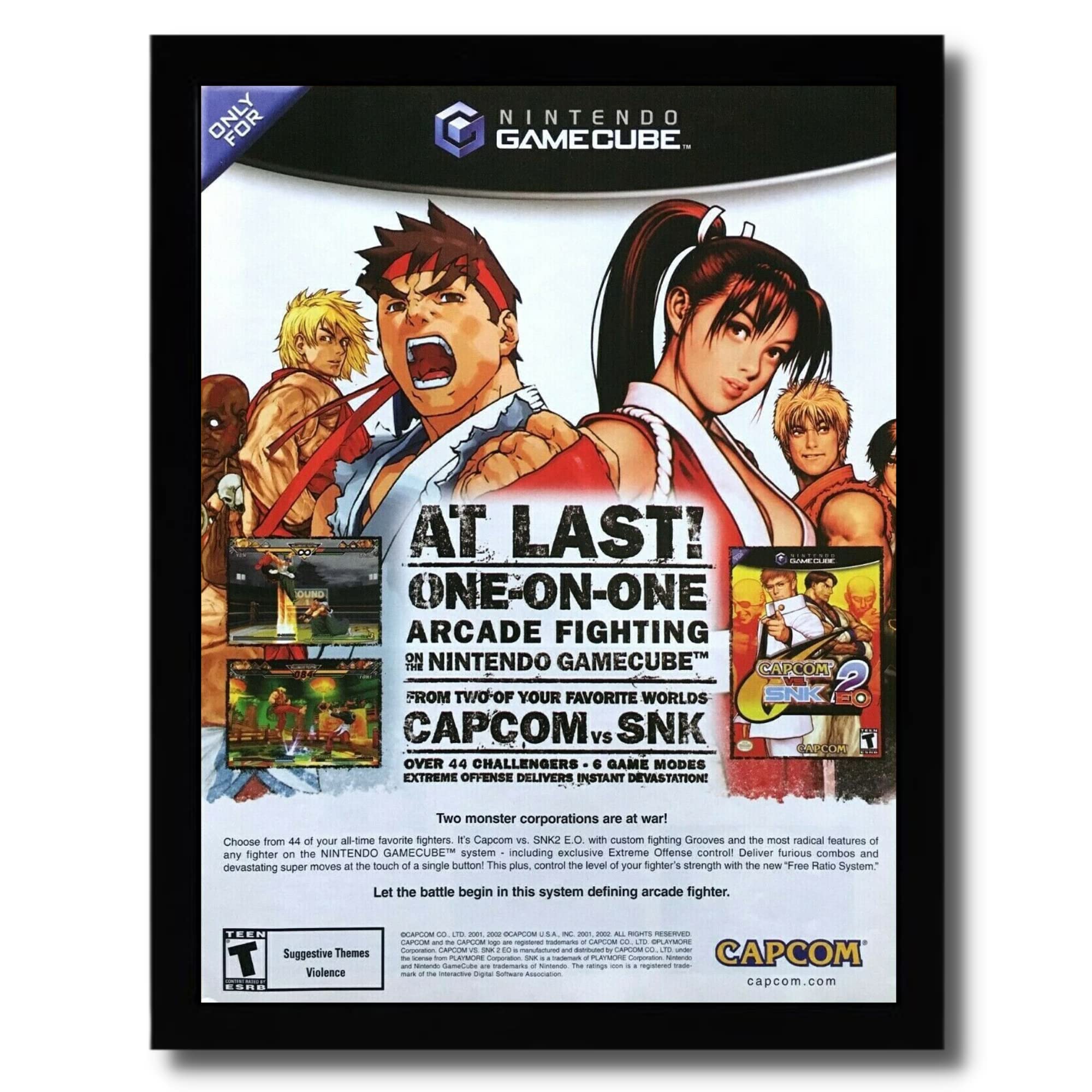 Capcom vs. SNK 2 EO Official Framed Poster - Gamecube & Xbox Video Game Wall Art - Perfect for Gaming Room Decor & Collector's Display