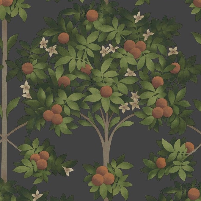 Cole & Son Orange Blossom Botanical Wallpaper - Premium Floral Peel & Stick Wallpaper for Living Room, Bedroom, Nursery Decor | Waterproof & Removable Self-Adhesive Wallpaper