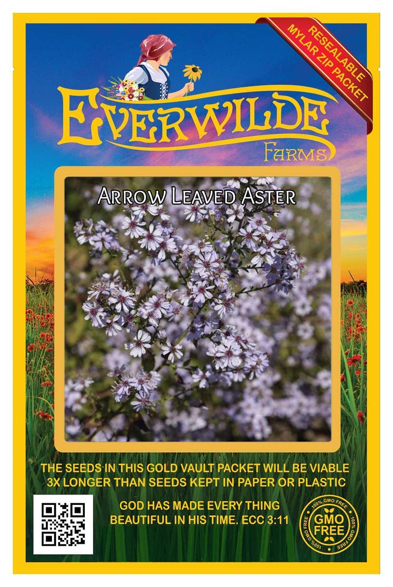 Everwilde Farms - 2000 Arrow-leaved Aster Native Wildflower Seeds - Gold Vault Seed Packet for Pollinator Gardens & Natural Landscaping