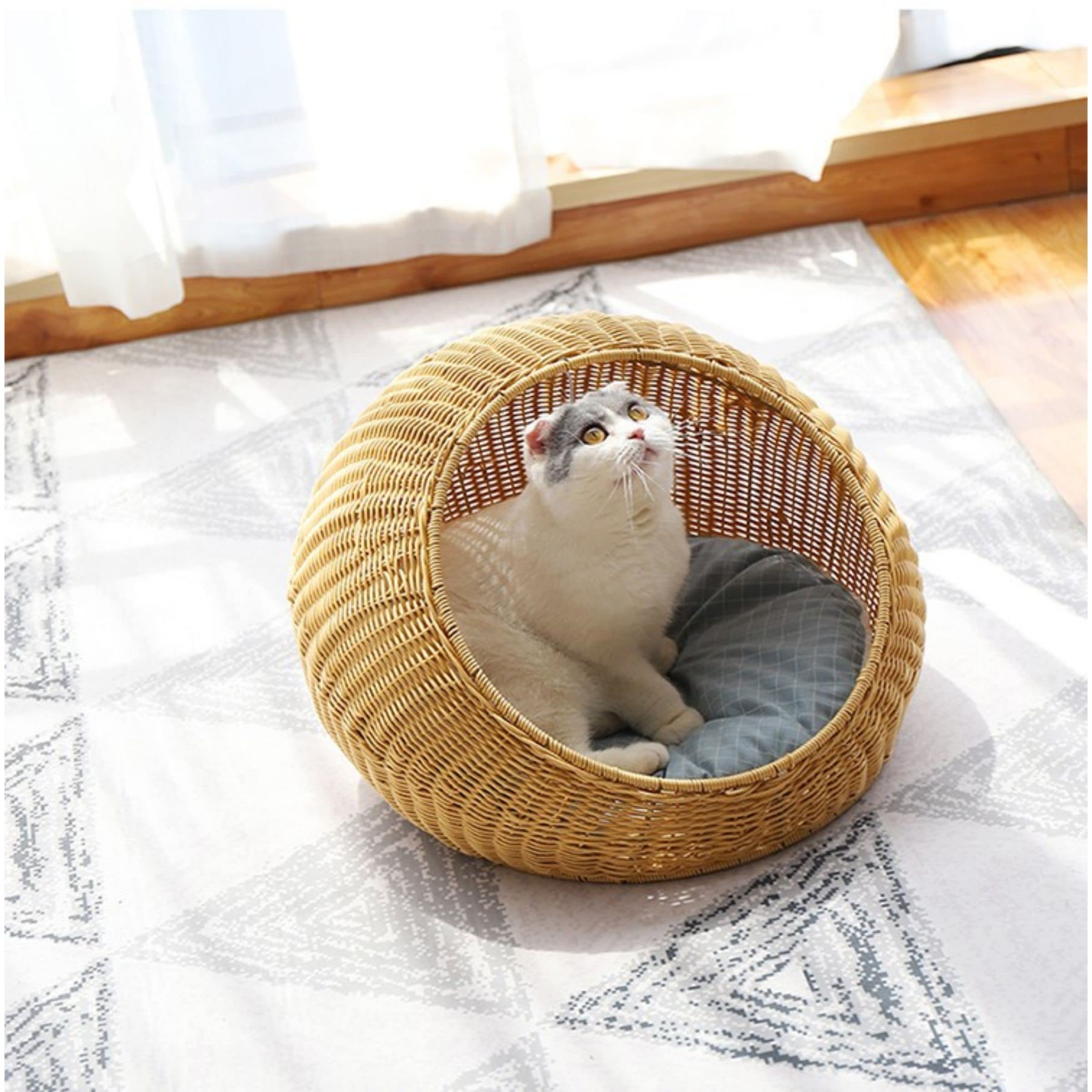 Instachew Orthopedic Pet Bed for Cats & Small Dogs - Washable Warm Calming Anti-Anxiety Cushion with Removable Cover (Nestuo Brown) - Perfect for Cozy Napping & Stress Relief at Home