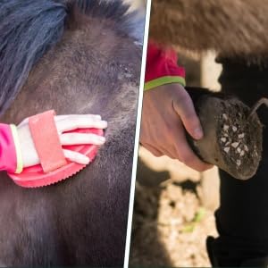 10PCS Horse Grooming Kit - Brush Set with Hoof Pick & Comb for Horse Care & Cleaning