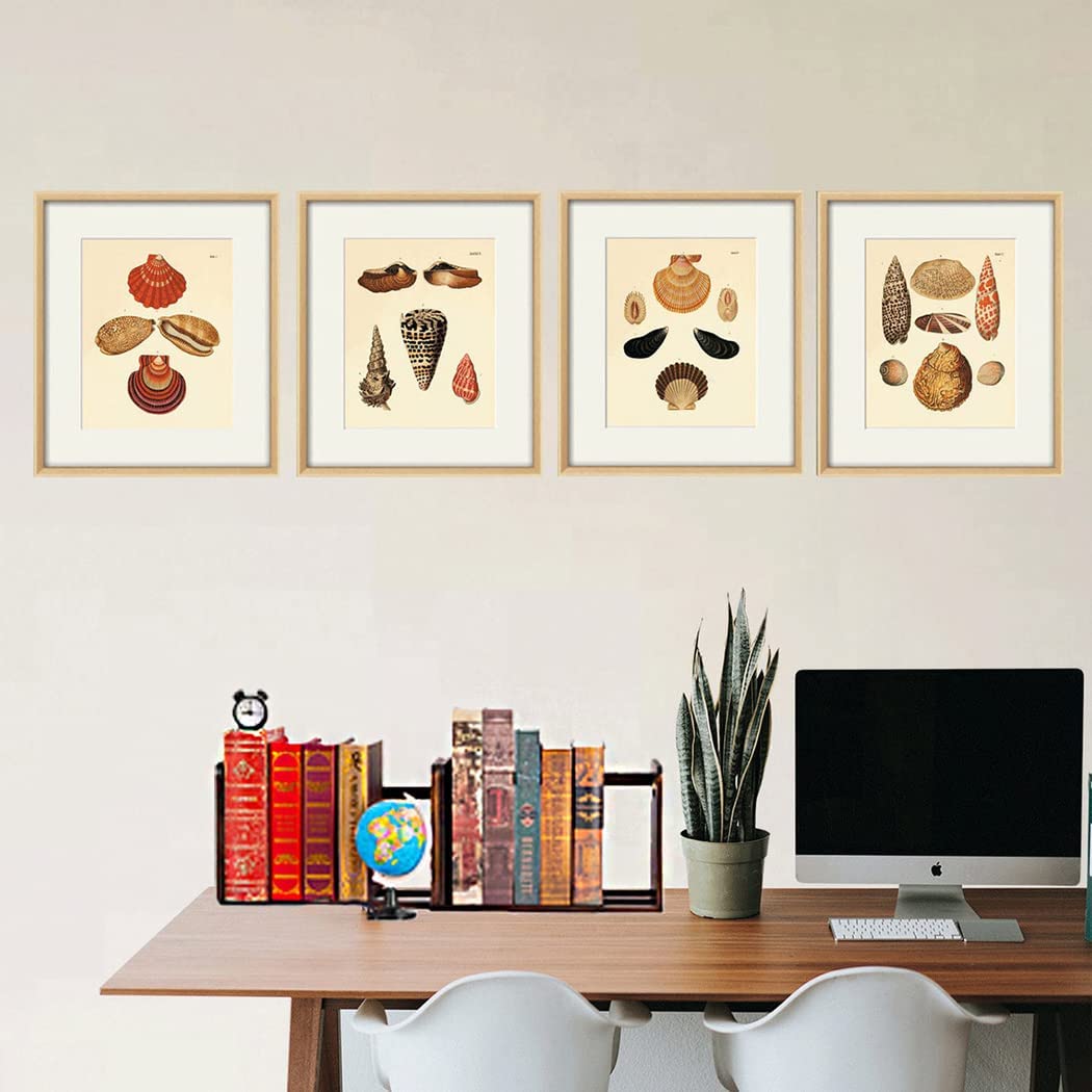 Expandable Desktop Bookshelf Organizer - Adjustable 13.2