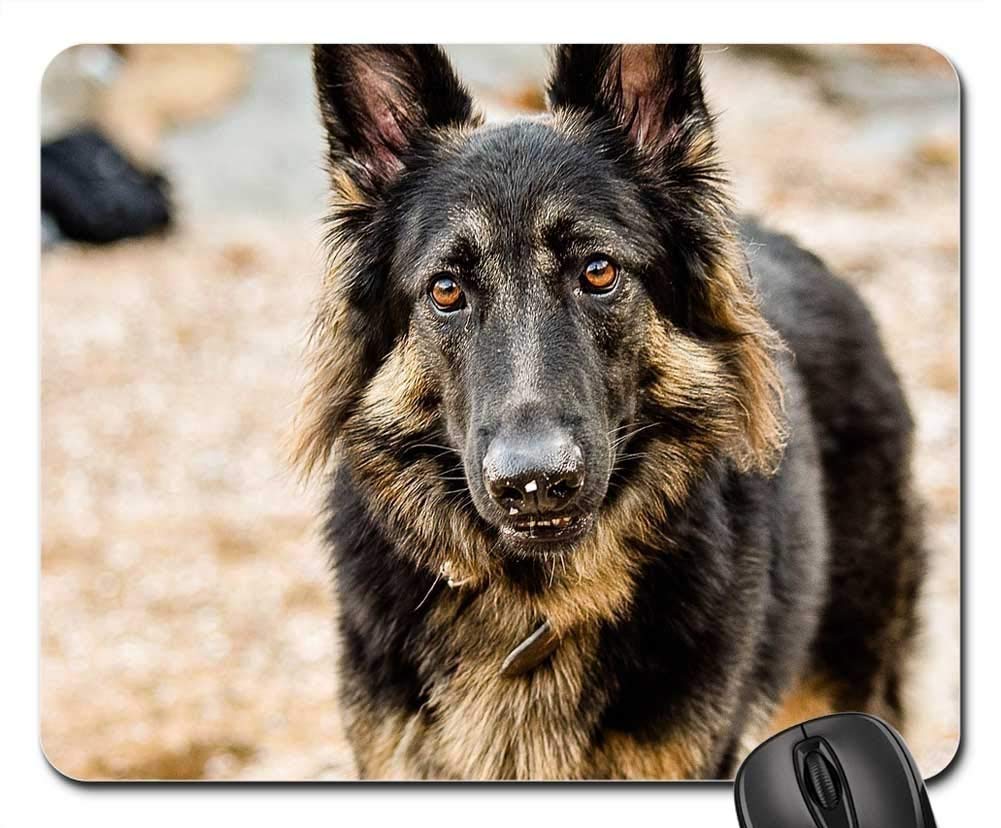 Premium Gaming Mouse Pad - Non-Slip Rubber Base, Large Extended Size for PC & Laptop - Perfect for Esports, Office Work & Home Use | Dog & Pet Friendly Design for Animal Lovers