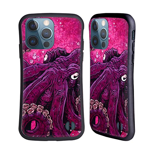 Octopus Squid