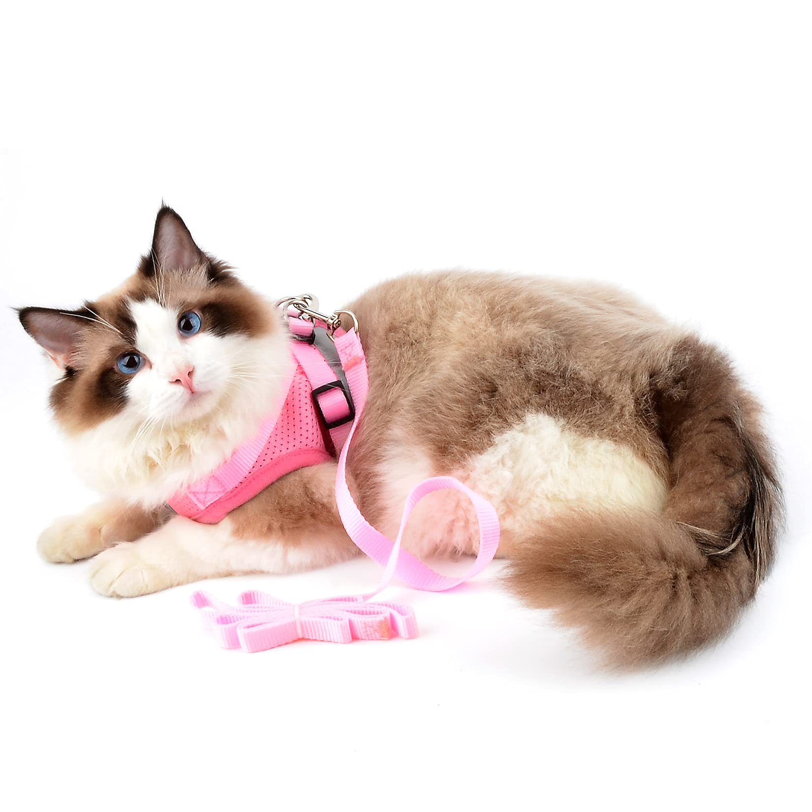 SMALLLEE LUCKY STORE Escape Proof Cat Harness and Leash Set - Adjustable Soft Mesh Vest with Reflective Strips for Small Dogs & Kittens (Pink, Size M) | Perfect for Safe Outdoor Walks, Park Visits & Training Sessions
