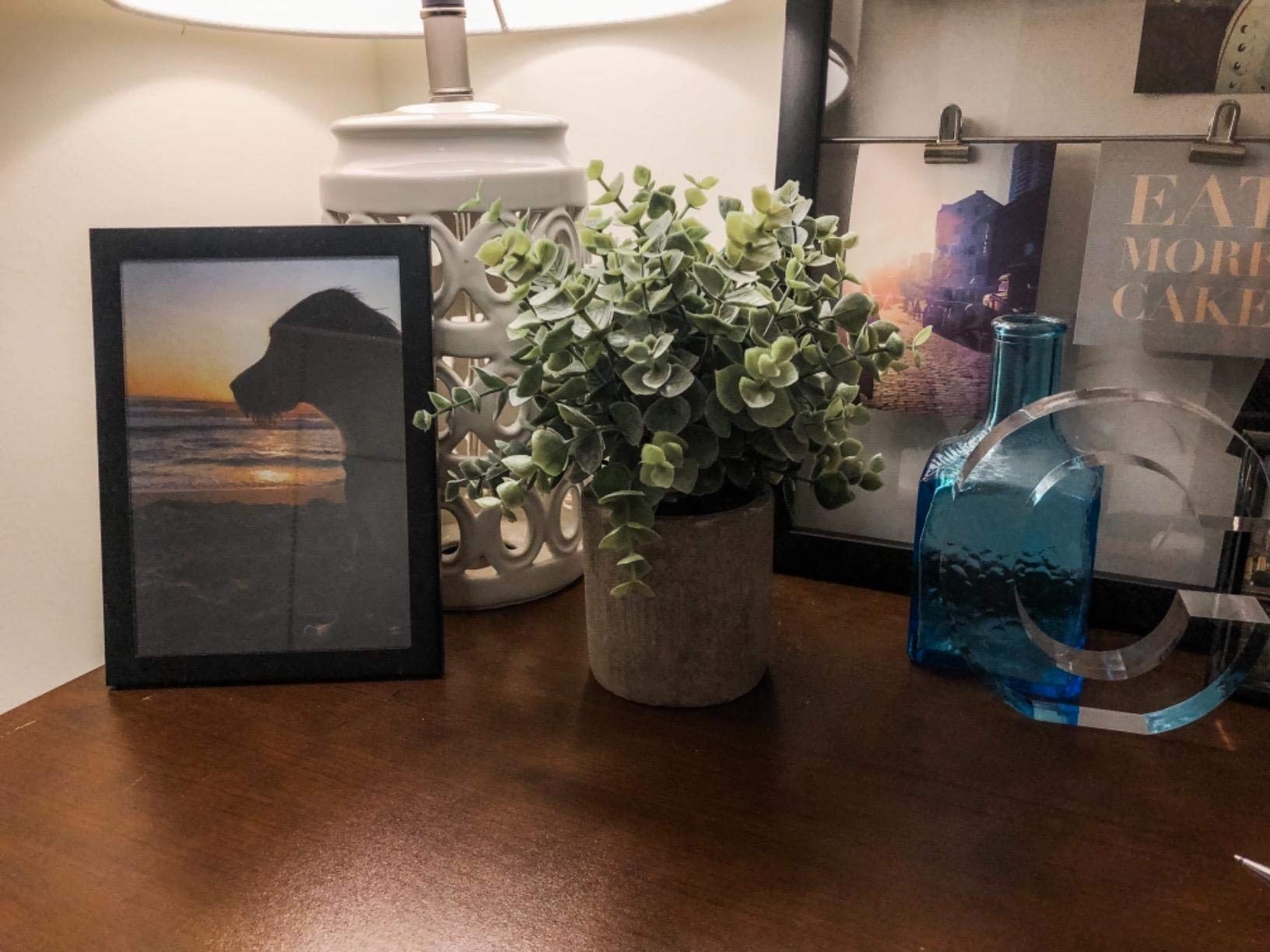 Winlyn Set of 3 Mini Artificial Eucalyptus Plants - Fake Plastic Greenery for Home Office Desk Decor, Bathroom & Shower Room Decorations - Perfect for Farmhouse, Wedding Centerpieces and Shelf Styling