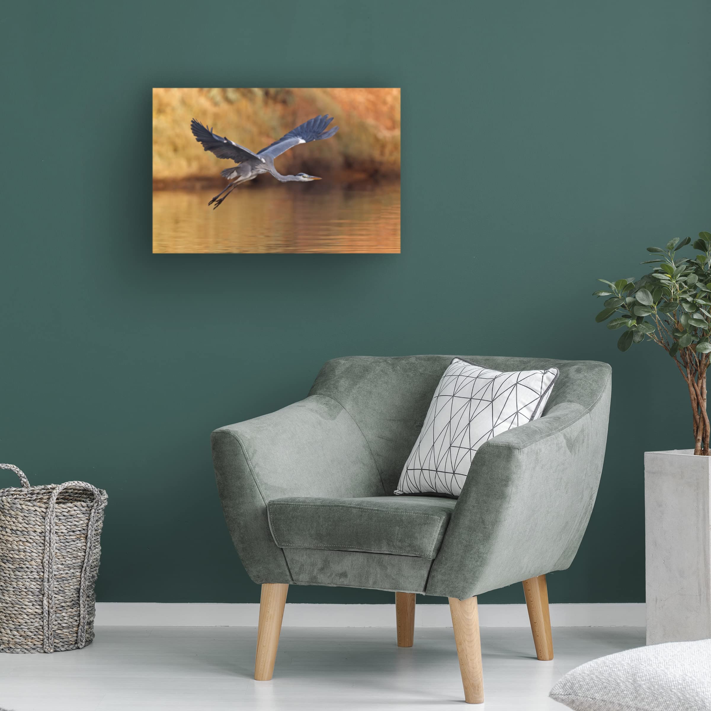 Trademark Fine Art 'Ardea Cinerea' Heron Canvas Wall Art by Assaf Gavra - Elegant Home & Office Decor for Living Room, Bedroom or Gallery