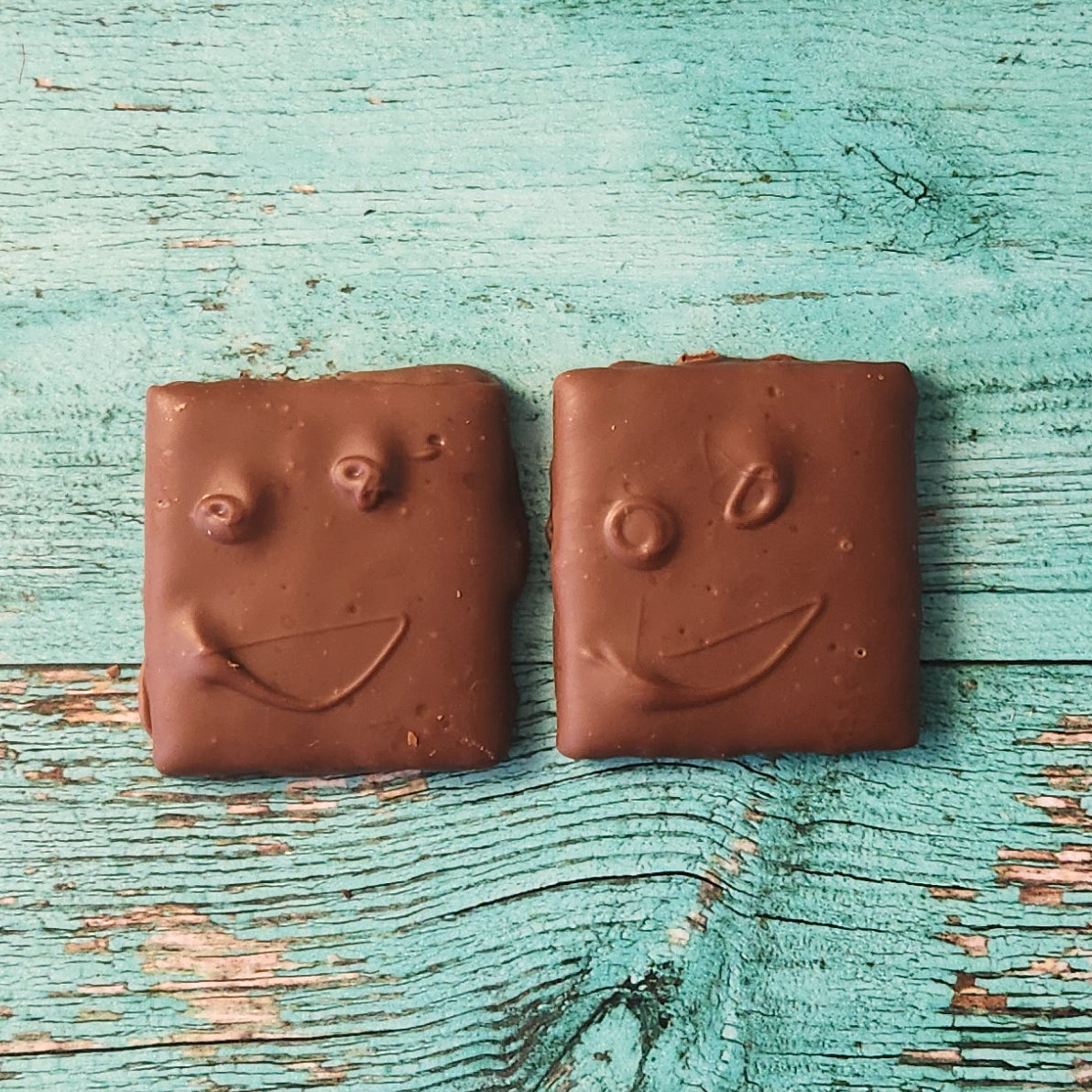 Delicious Chocolate Covered Graham Crackers - Crunchy Snack for Kids, Parties & Dessert Recipes | Perfect for S'mores, Lunchboxes & Holiday Treats