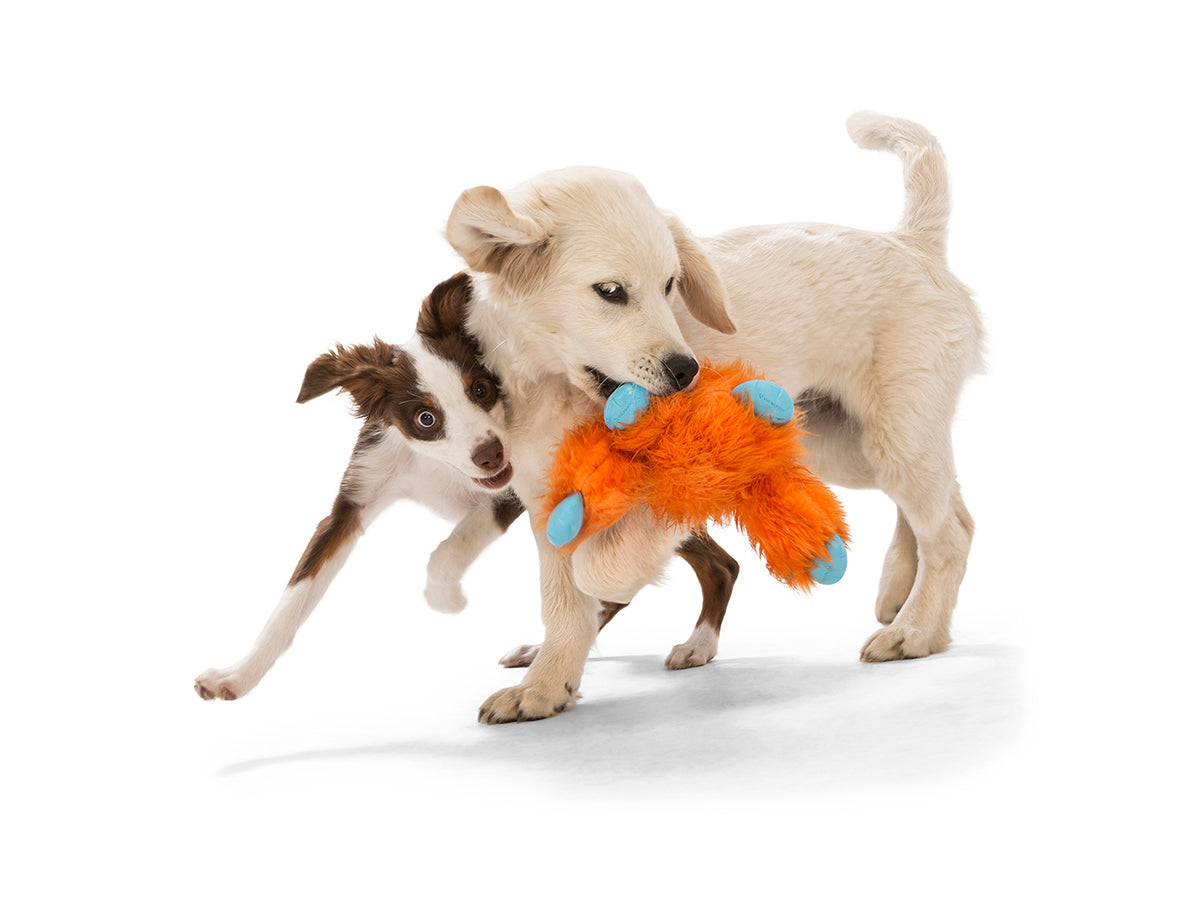 West Paw Design Jefferson Dog Toy - Durable Chew Toy for Aggressive Chewers, Interactive Play for Large & Small Dogs - Perfect for Indoor & Outdoor Fetch, Training, and Playtime
