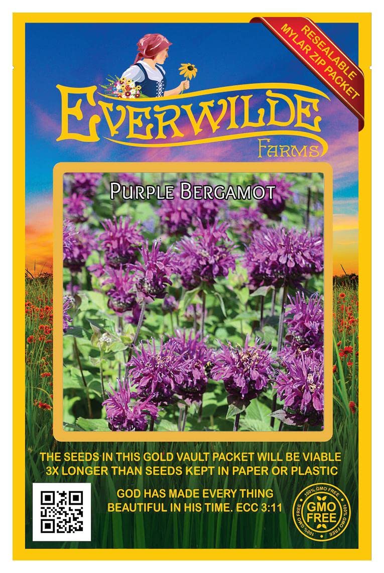 Everwilde Farms - 1750 Purple Bergamot Native Wildflower Seeds for Planting - Non-GMO, Pollinator-Friendly Flowers - Gold Vault Jumbo Seed Packet - Perfect for Butterfly Gardens, Landscaping & Wildlife Habitats