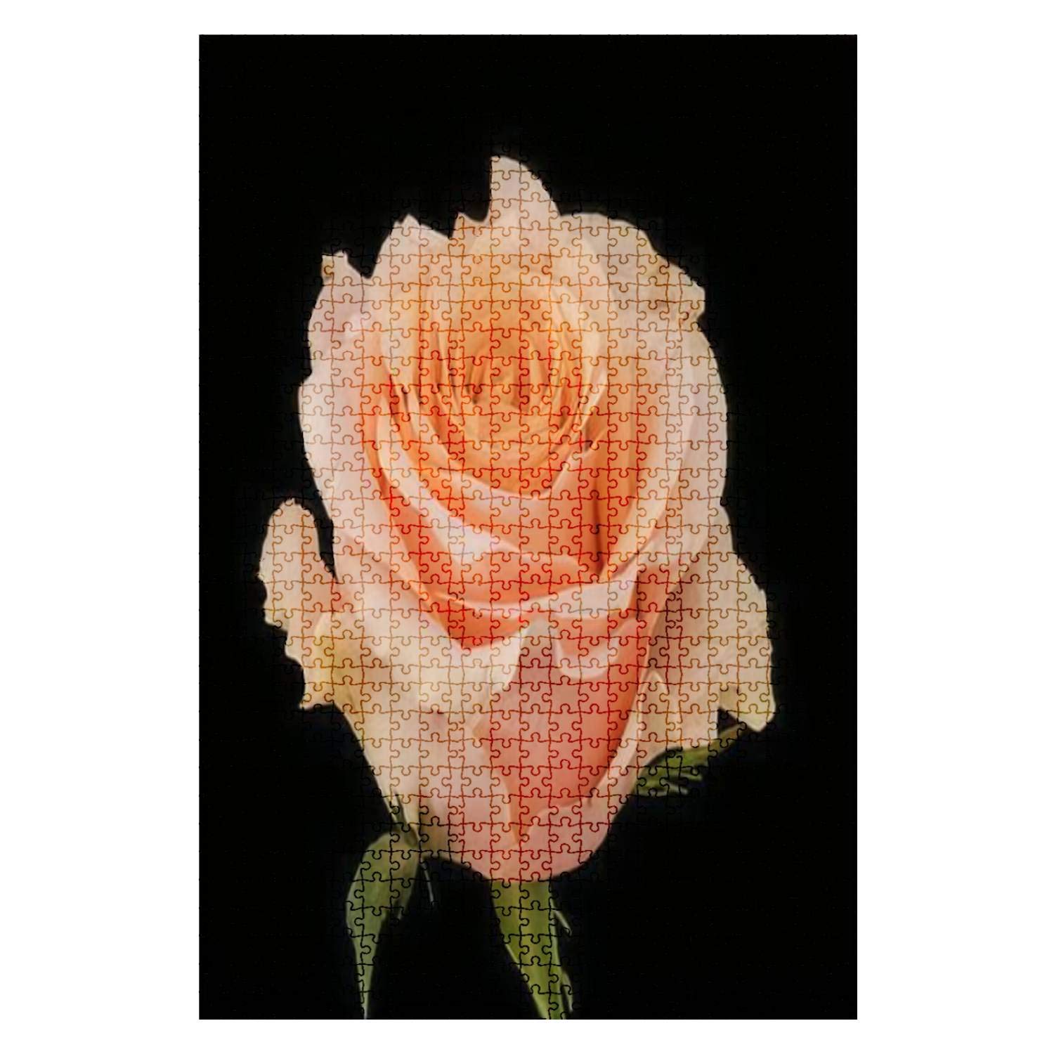 1000-Piece Wooden Jigsaw Puzzle - Pastel Rose & Orange Blossom on Black Background | Fun & Challenging Board Game for Adults & Kids | Large DIY Educational Toy | Perfect Gift & Home Decor | Great for Family Game Nights & Stress Relief