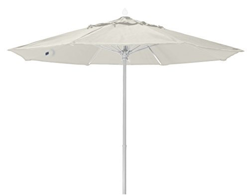 Natural White with White Pole