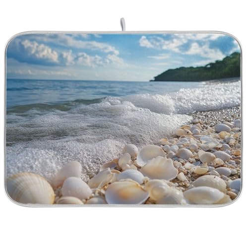 White Beach Shells Summer