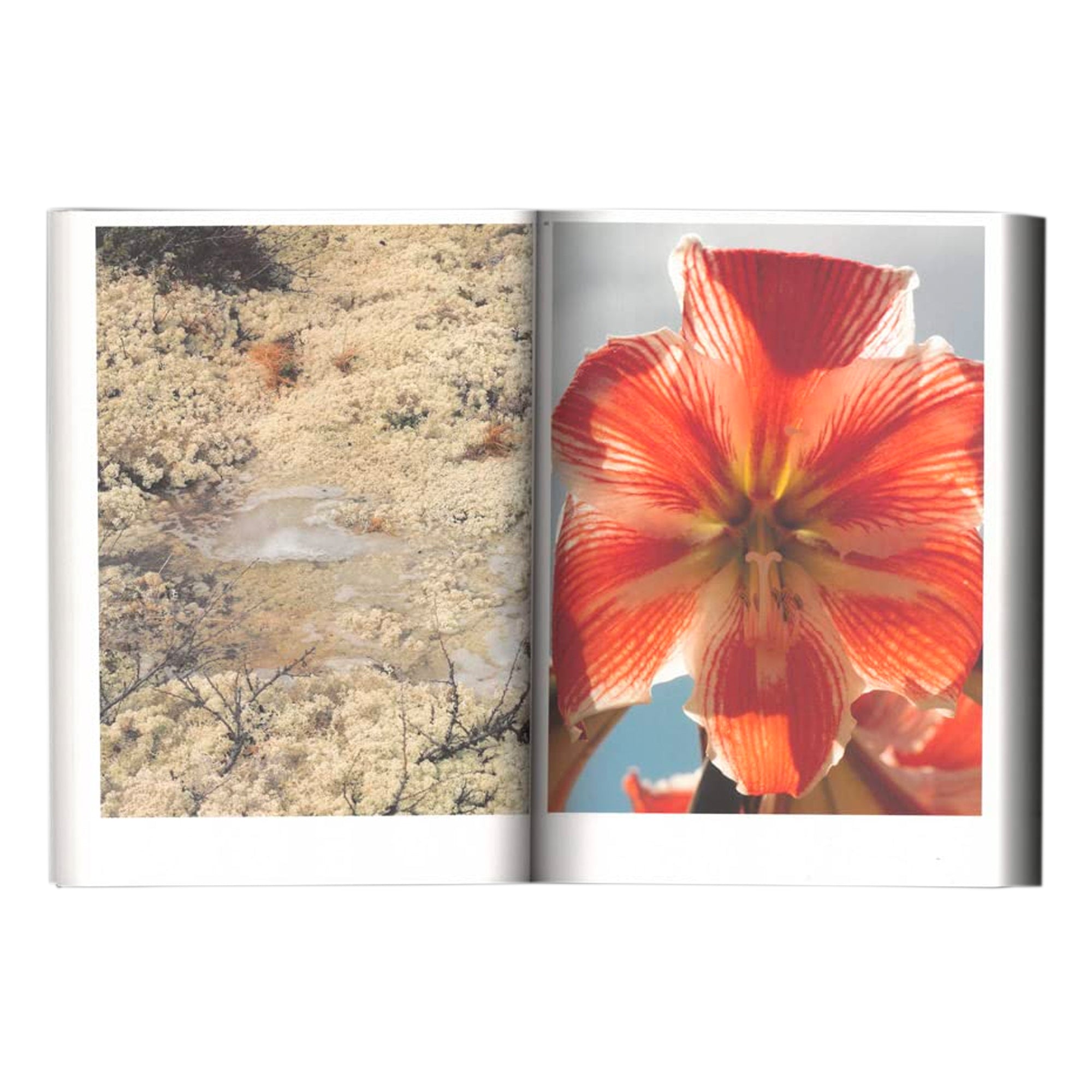 Matter: Aleix Plademunt Photography Book - Softcover Edition | Art Book for Photography Enthusiasts & Collectors | Perfect for Home Decor, Coffee Table Display & Gift Giving