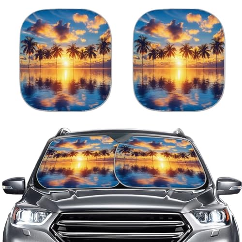 Hawaiian Palm Sunset