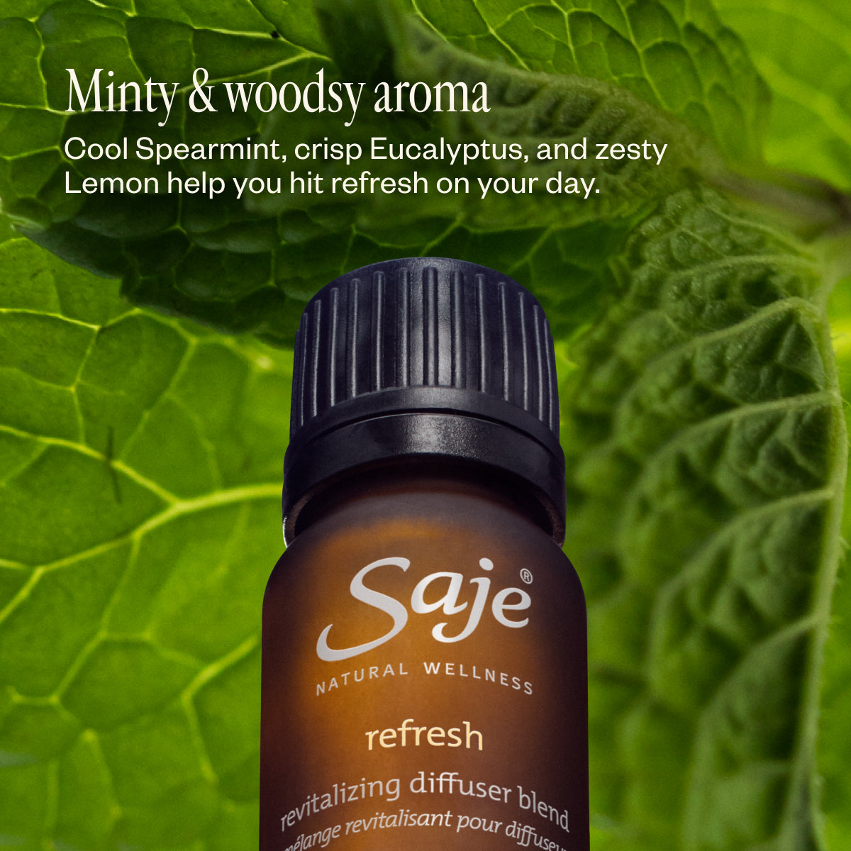 Refresh 100ml Essential Oil Diffuser Blend - Aromatherapy for Home, Office & Spa Relaxation