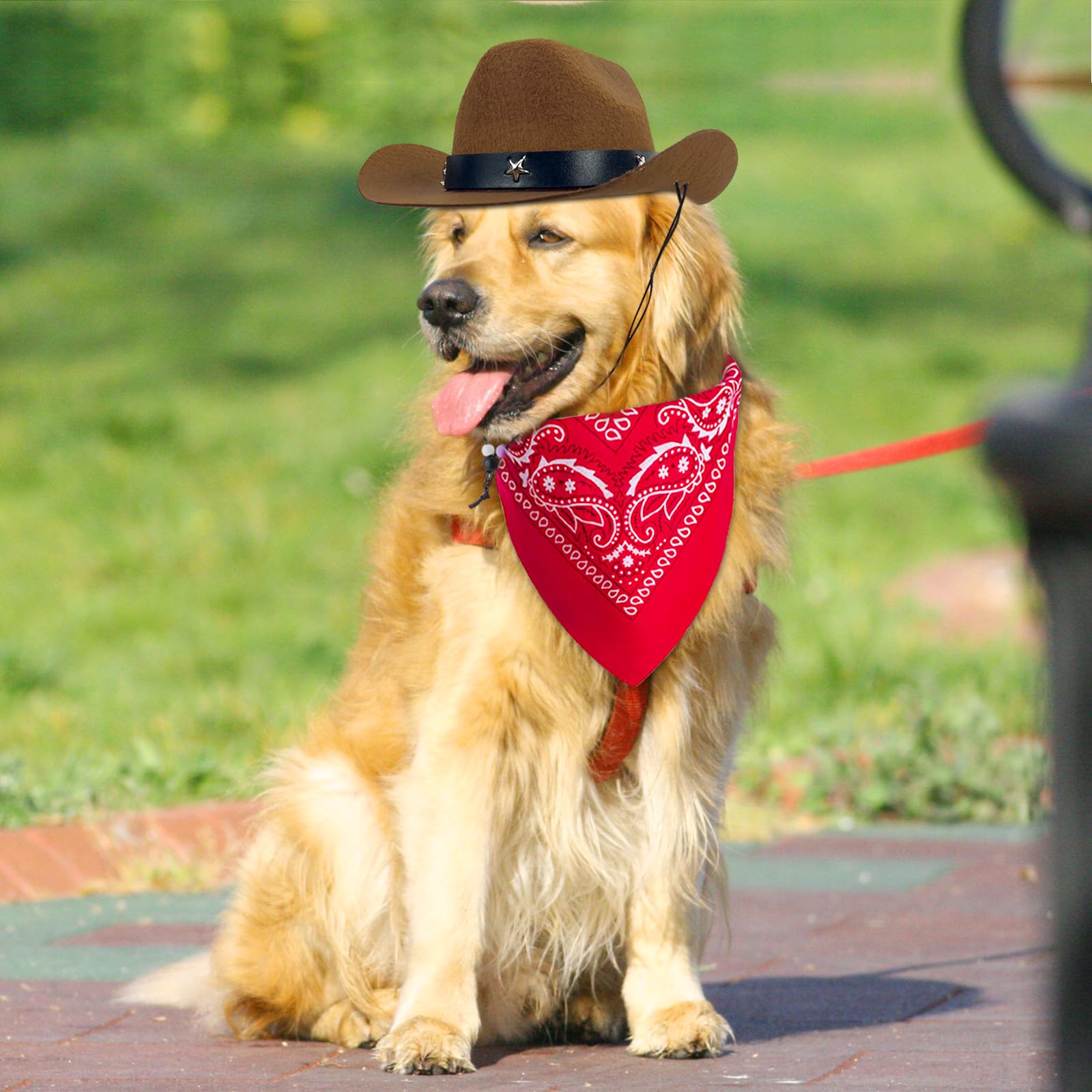 Funny Pet Cowboy Hat & Bandana Costume Set for Dogs & Cats - Western Cowboy Accessories for Halloween, Birthday Parties & Mexican Themed Events - Perfect for Daily Wear & Photo Shoots (Brown)