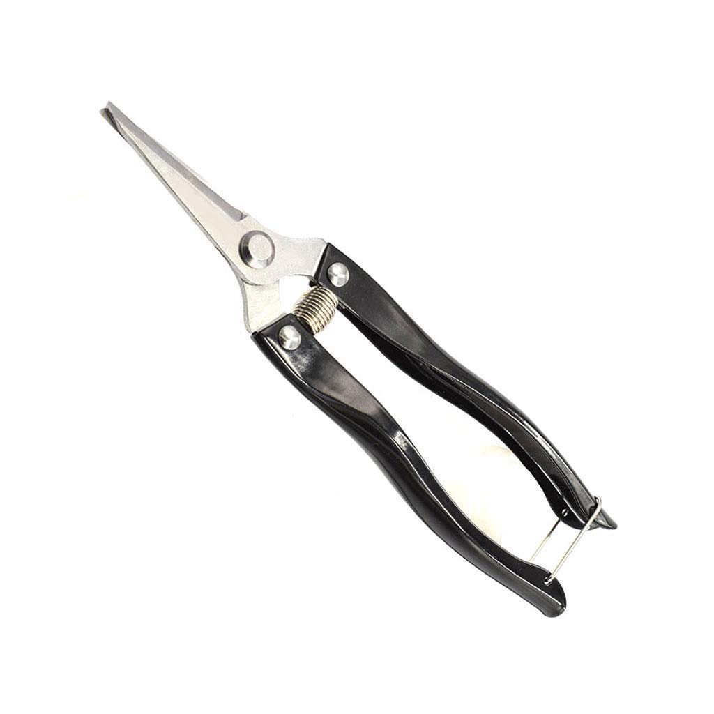Professional Garden Pruning Shears - Straight Bypass Pruner for Grapes, Flowers & Plants | Manual Labor-Saving Gardening Tool | Multi-Function Black Shears for Trimming, Harvesting & Landscaping | Perfect for Home Gardeners, Vineyard Workers & Horticulture Enthusiasts