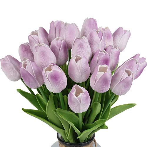 Light Purple