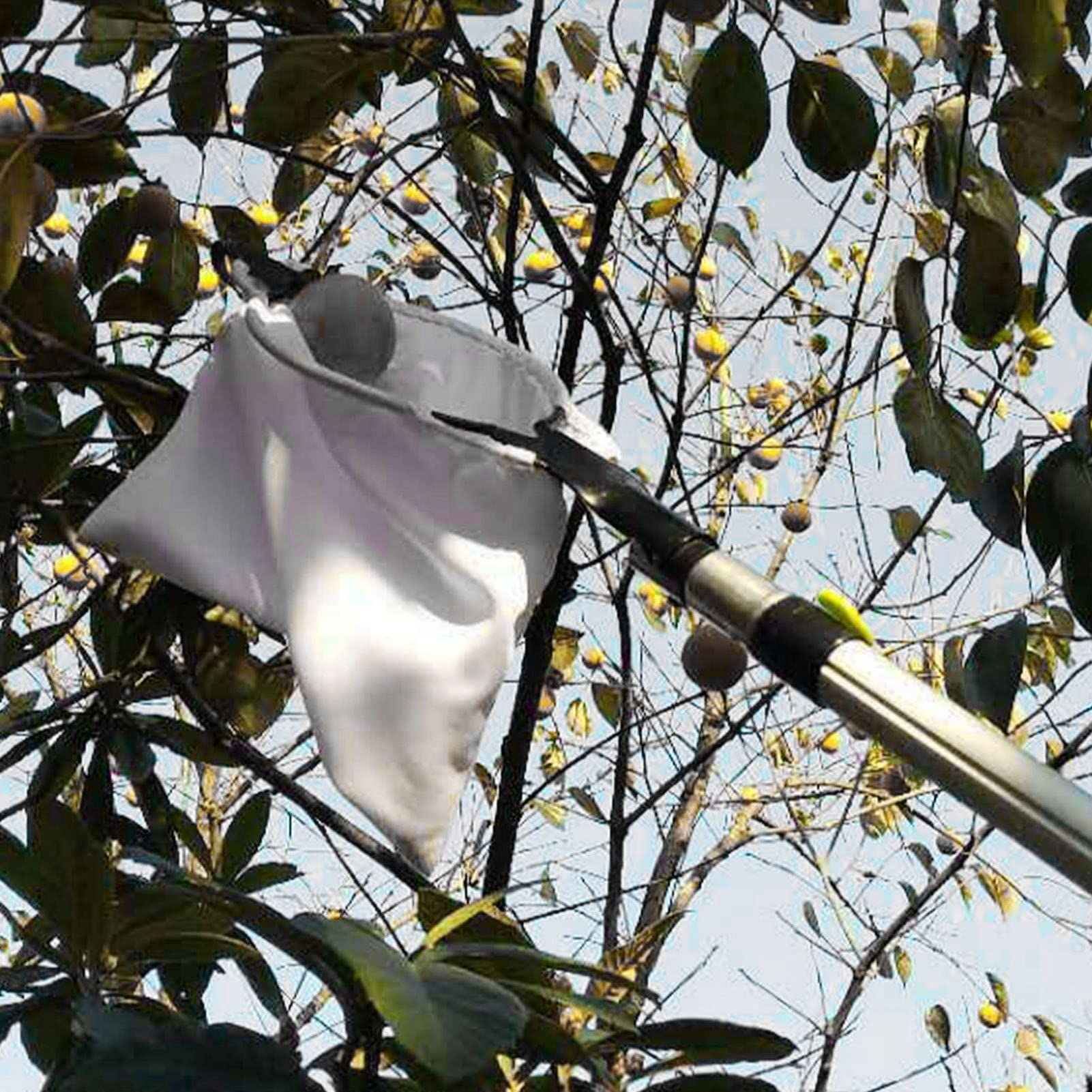 Stainless Steel Fruit Picker Tool with Basket - Extendable Apple Picker Pole for Harvesting Oranges, Peaches & Garden Fruits | Durable Nonwoven Fabric V-Shaped Blades | Perfect for Home Orchards, Backyard Harvesting & Farm Use