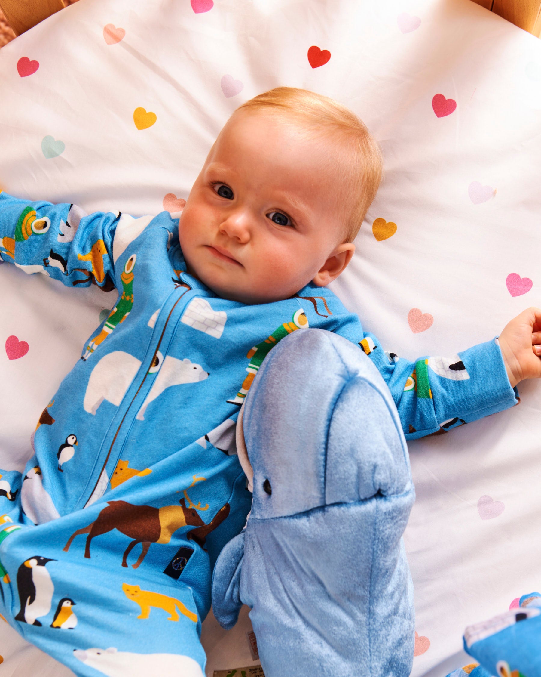 Arctic Circle Organic Cotton Long Sleeve Zip-Up Romper for Babies - Soft & Comfortable One-Piece Outfit for Playtime, Nap Time & Outdoor Adventures