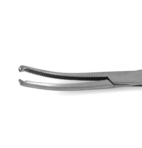 Rochester Ochsner Forceps 8