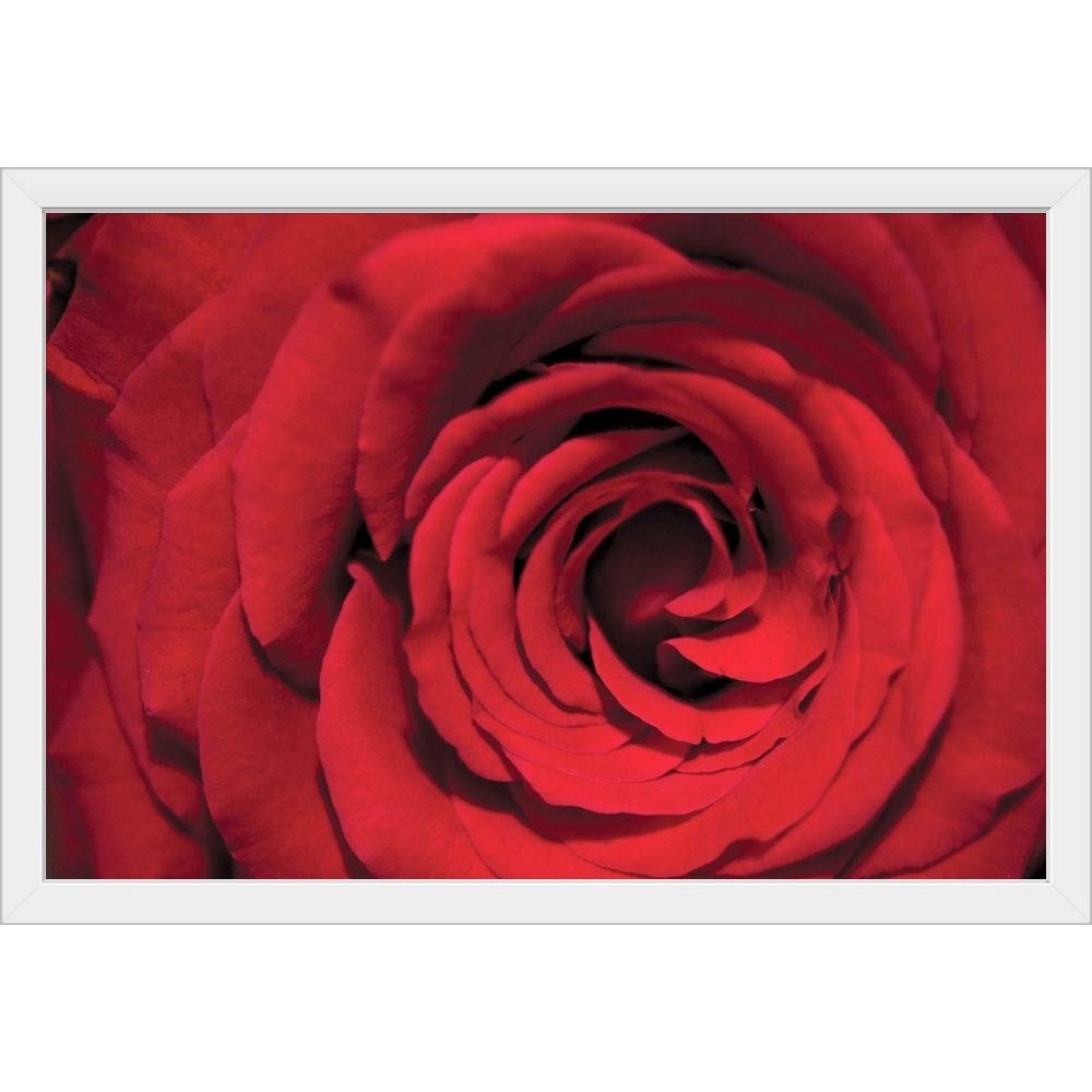 Red Rose Detail White Framed Art Print - Elegant Floral Wall Decor for Living Room, Bedroom & Office | Premium Rose Artwork for Home & Gifts
