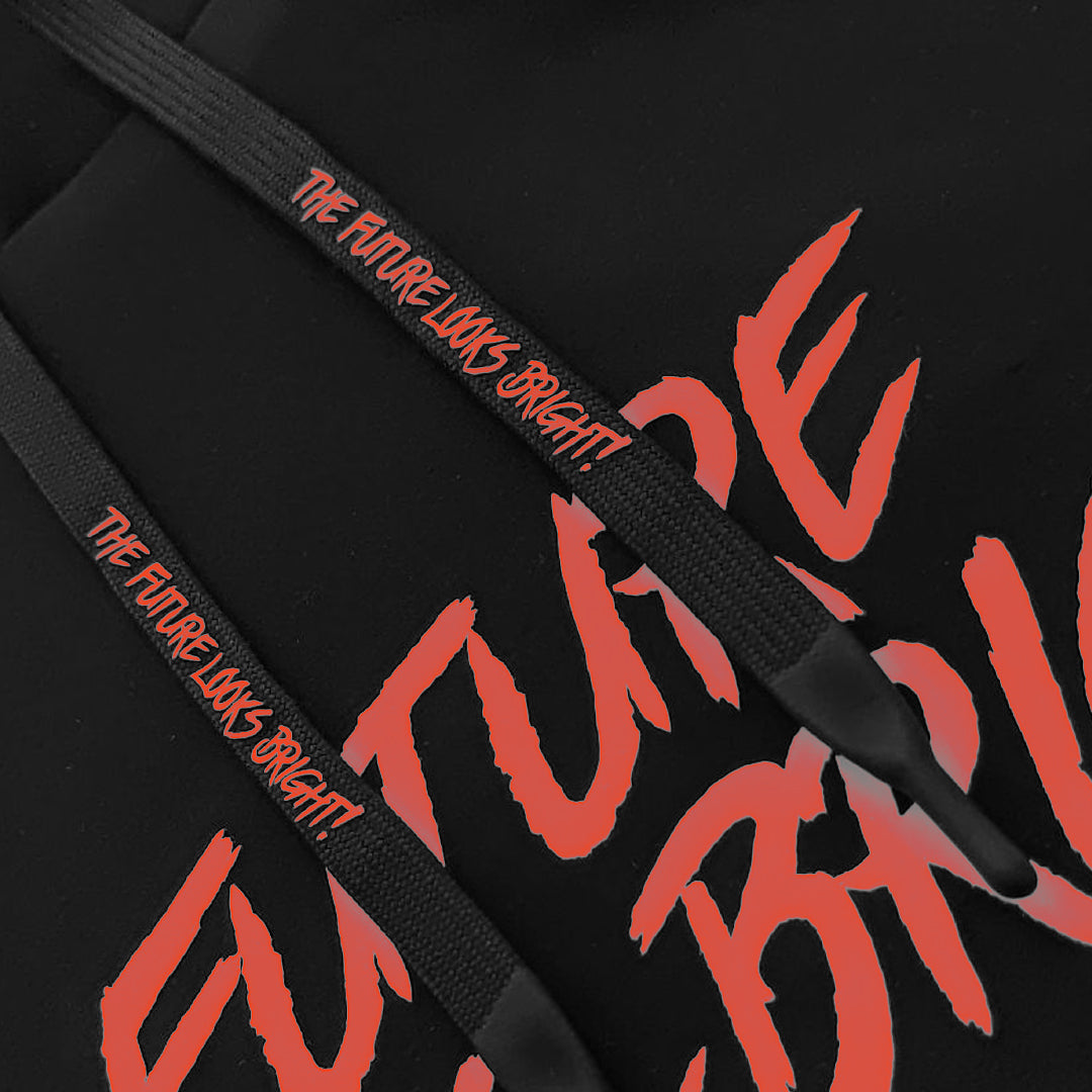 Men's Future Looks Bright Red Lion Shield Premium Pullover Hoodie - Soft Cotton Blend Sweatshirt for Streetwear & Casual Outfits | Perfect for Gym, College, and Everyday Wear