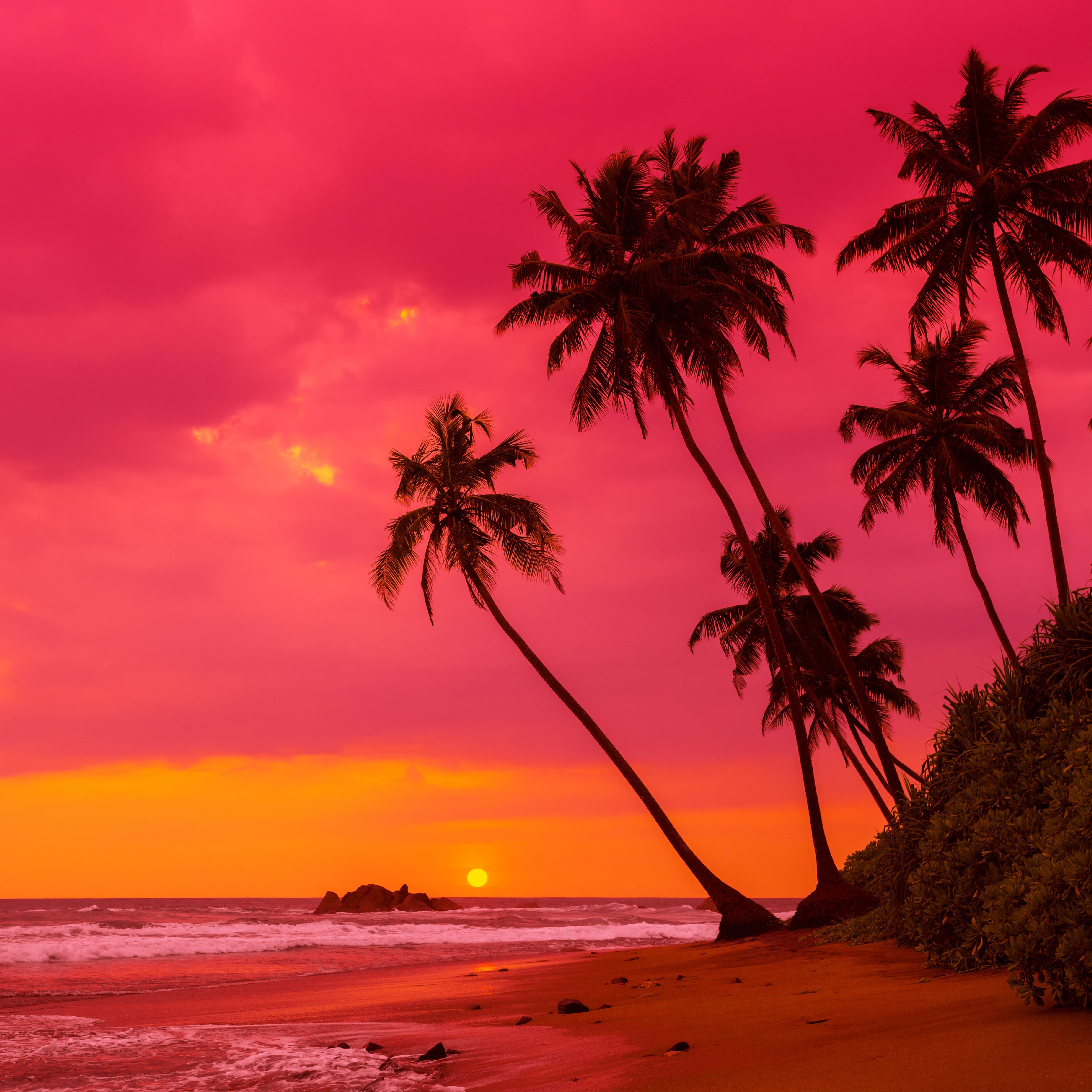 Hawaiian Sunrise Fragrance Oil for Cold Air Diffusers - 100% Pure Essential Oil for Aromatherapy, Home & Office Relaxation