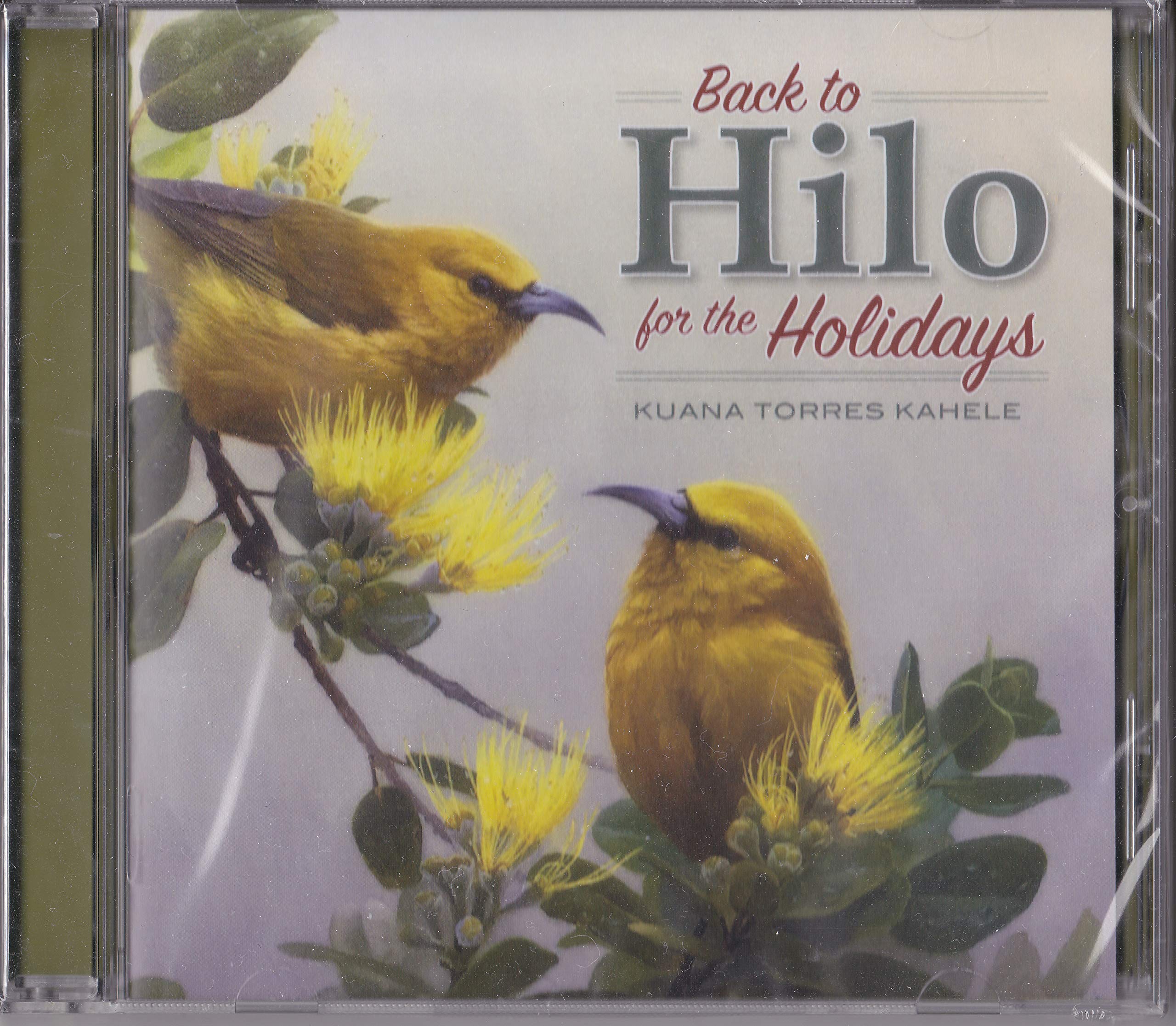 Back to Hilo for the Holidays - Hawaiian Christmas Gifts & Souvenirs for Family & Friends | Perfect for Holiday Decorations, Gifting & Tropical-Themed Celebrations