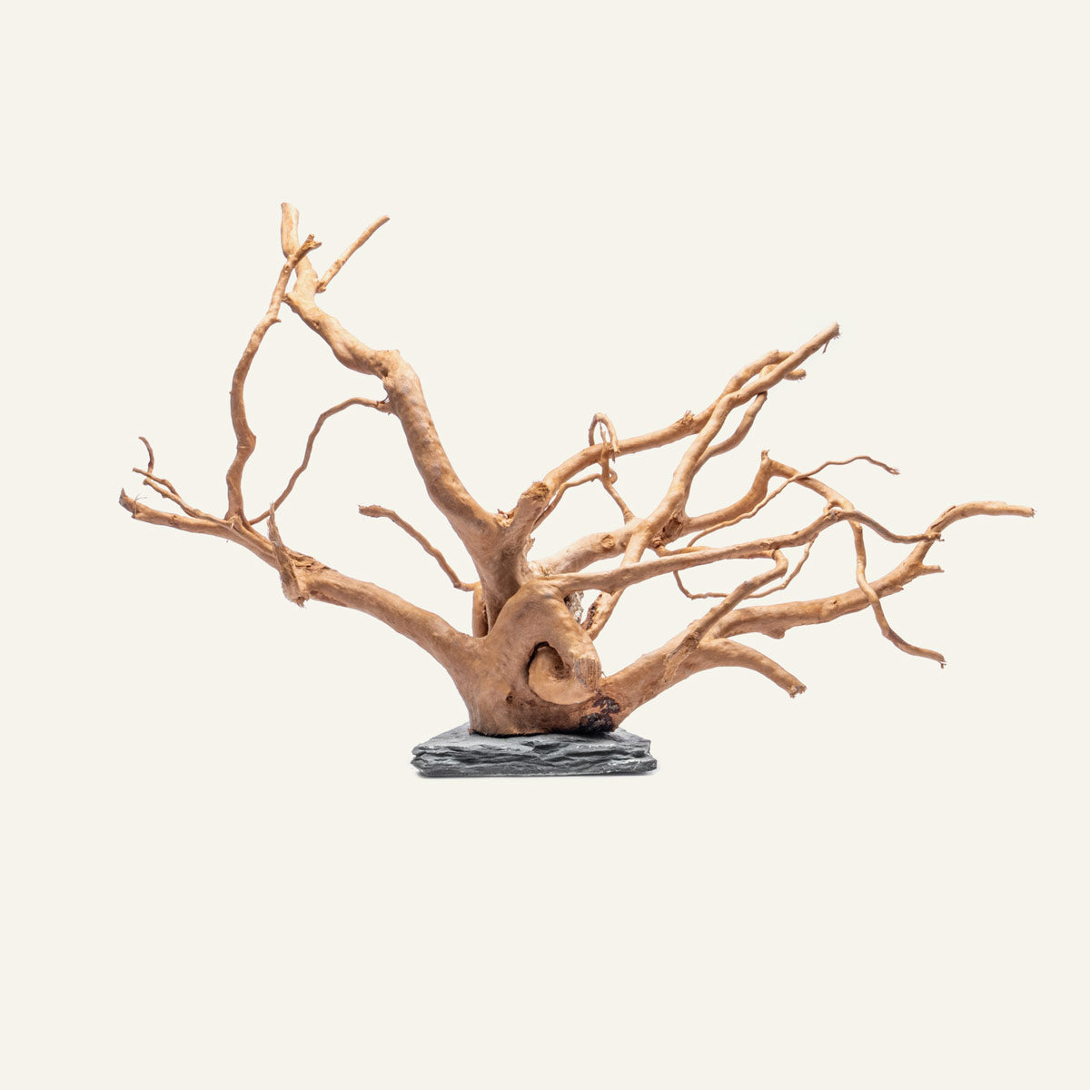 Natural Spider Wood on Slate Stone Aquarium Decor - Perfect for Fish Tanks, Terrariums & Reptile Habitats