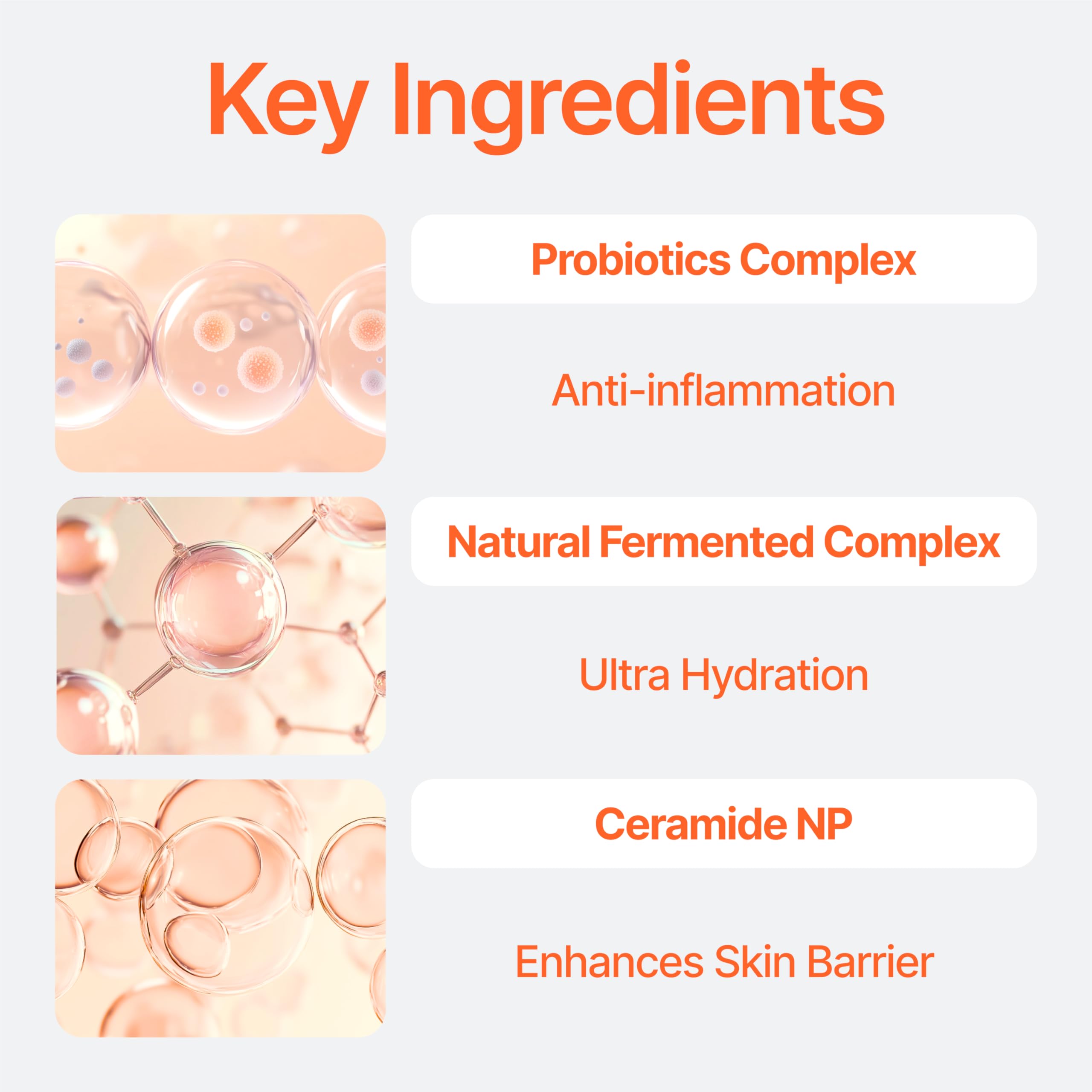 Bifida Barrier Cream - Korean Moisturizer with Ceramide NP, Squalane & Hyaluronic Acid for Hydrated, Elastic Skin | 50ml (1.69 Fl. Oz.) | Perfect for Dry Skin Care & Nighttime Skincare Routine