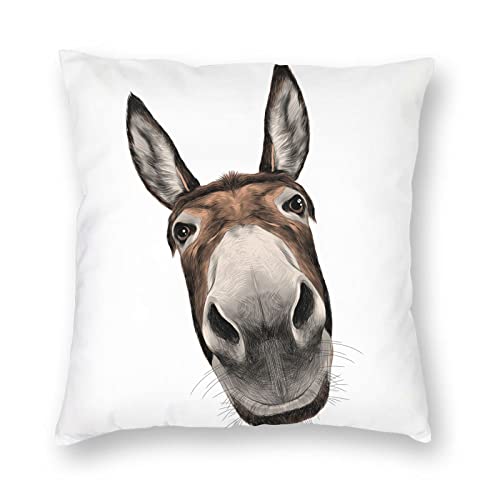 Donkey