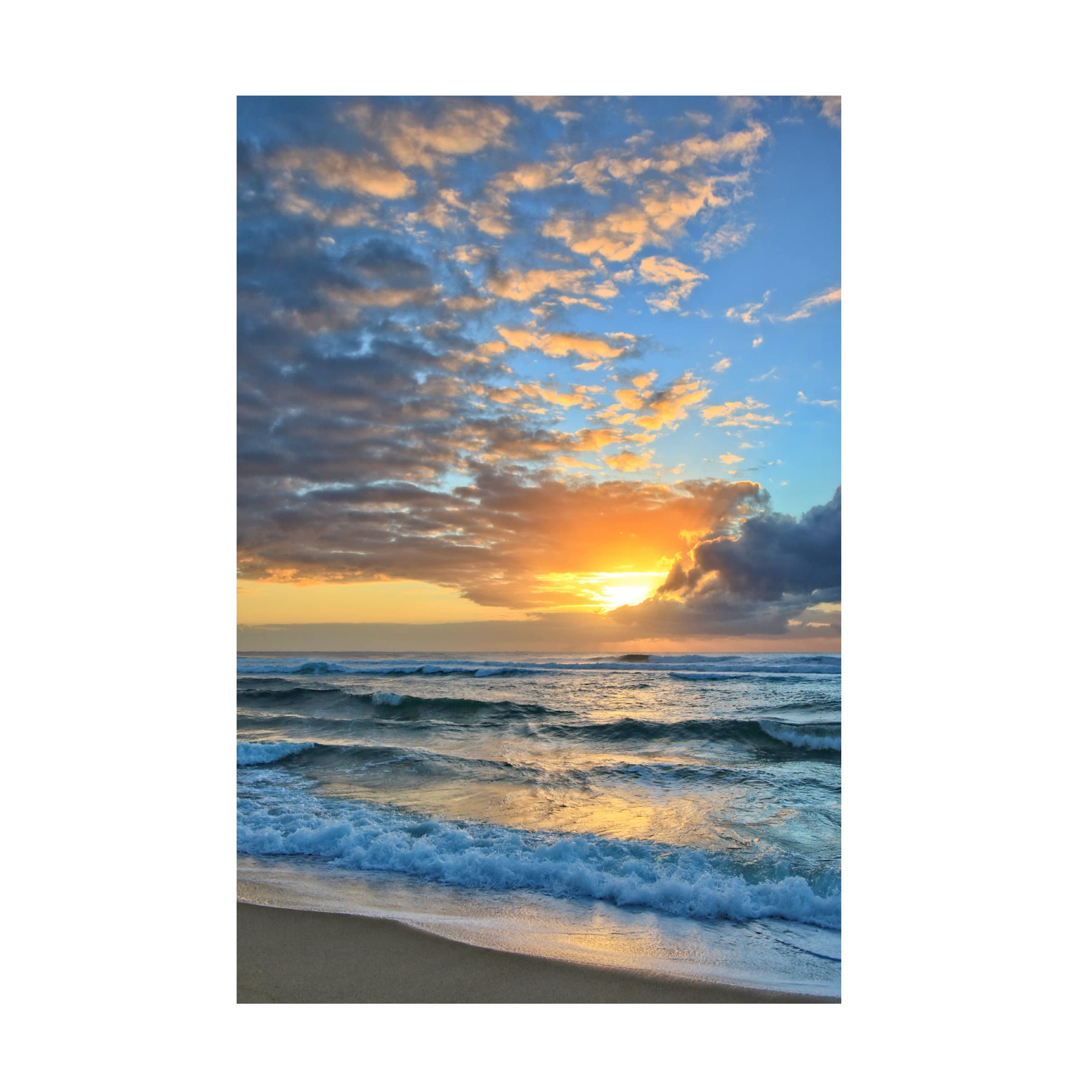 Trademark Fine Art 'Rise and Shine 3' Canvas Wall Art by Beata Czyzowska Young - Modern Abstract Painting for Living Room, Bedroom & Office Decor