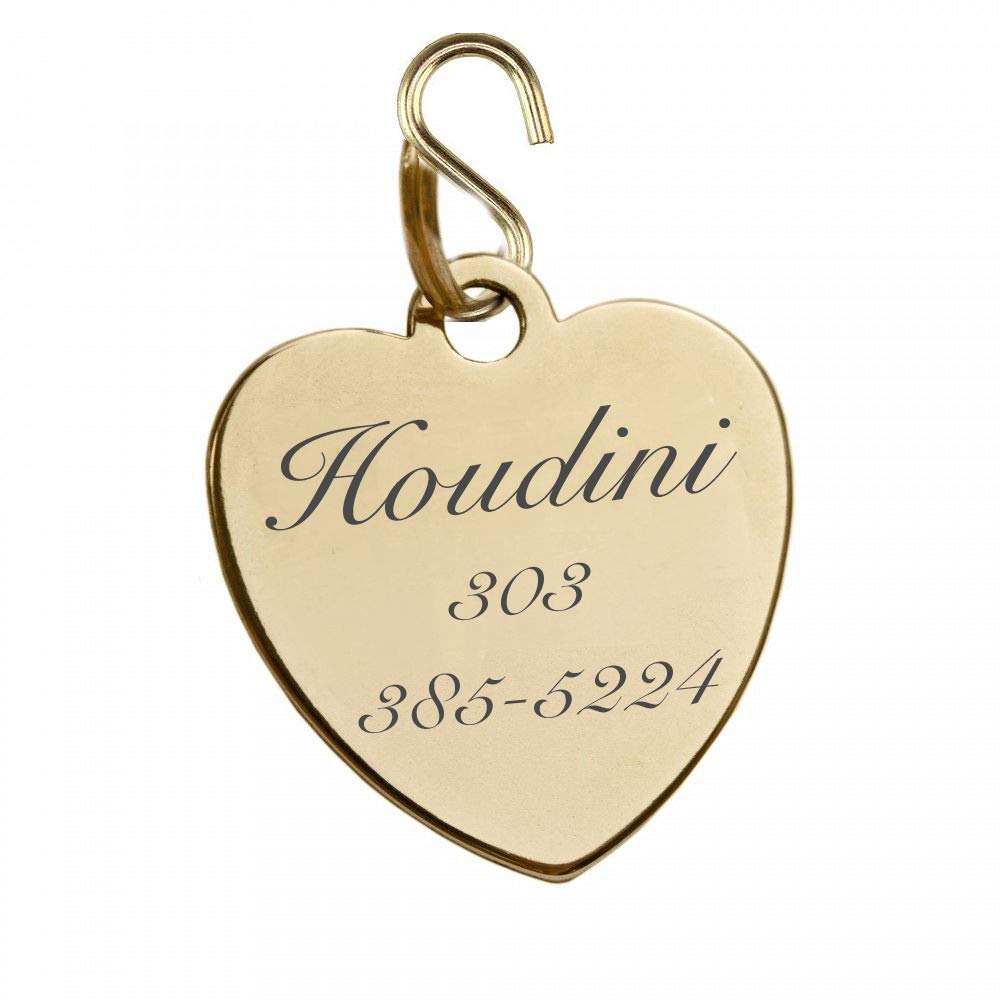 Personalized Engraved Shiny Gold Pet ID Tag for Dogs & Cats - Custom Name & Number - Durable Collar Charm Pendant - Perfect for Daily Walks, Vet Visits & Pet Safety - Ships from USA