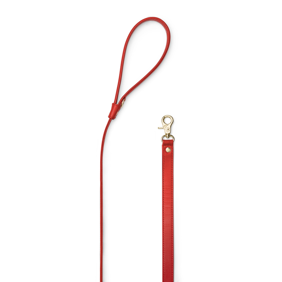 Vibrant Red 1 - Premium Quality for Home Decor, Gifts & Party Supplies | Perfect for Living Room, Bedroom & Special Occasions