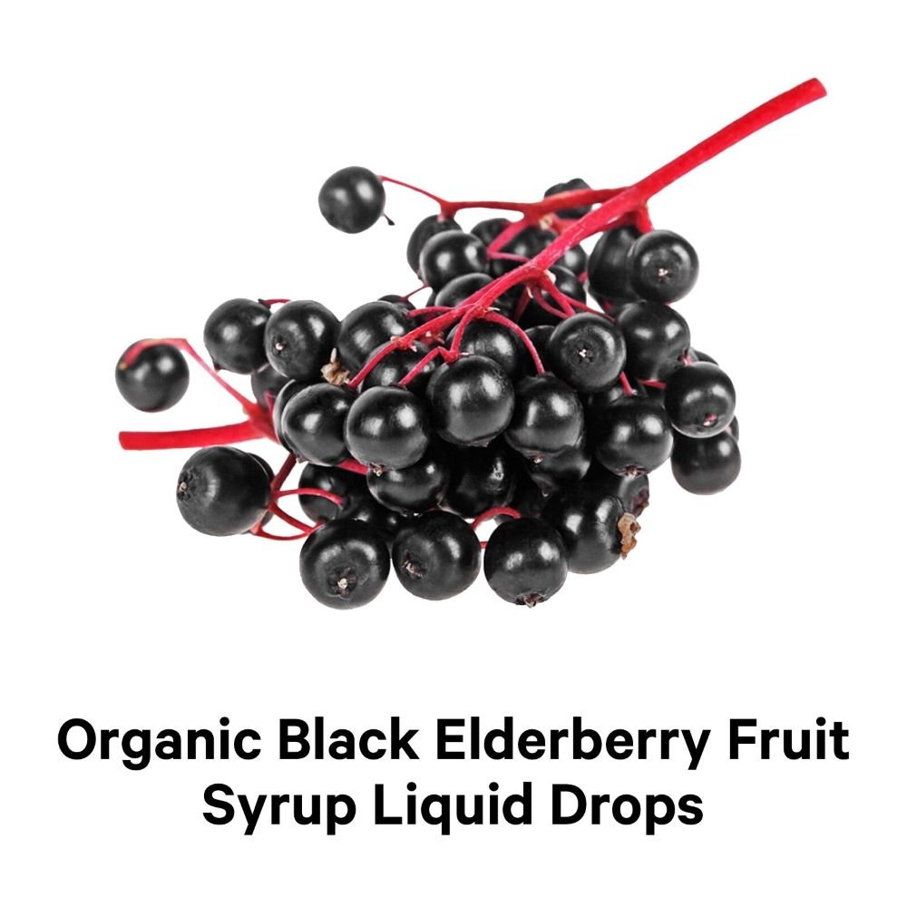 Codeage Organic Black Elderberry Blend Supplement - Immune Support & Antioxidant Boost for Adults & Kids - Perfect for Cold & Flu Season Wellness