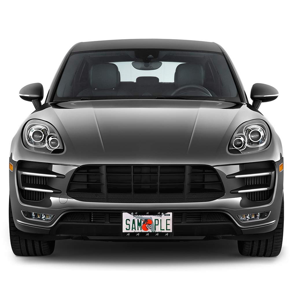 Premium Metal Insert License Plate Frame for Cars - Poodle Design, Weatherproof & Durable (Black, 2-Hole Solid Insert) - Perfect for Customizing Your Vehicle & Protecting License Plates